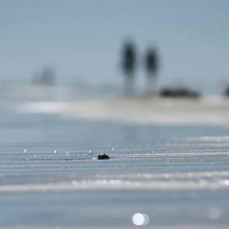 Holiday Svantevit * Ostseeheilbad Zingst