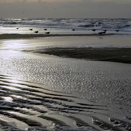 Lejlighed Holiday Svantevit Zingst